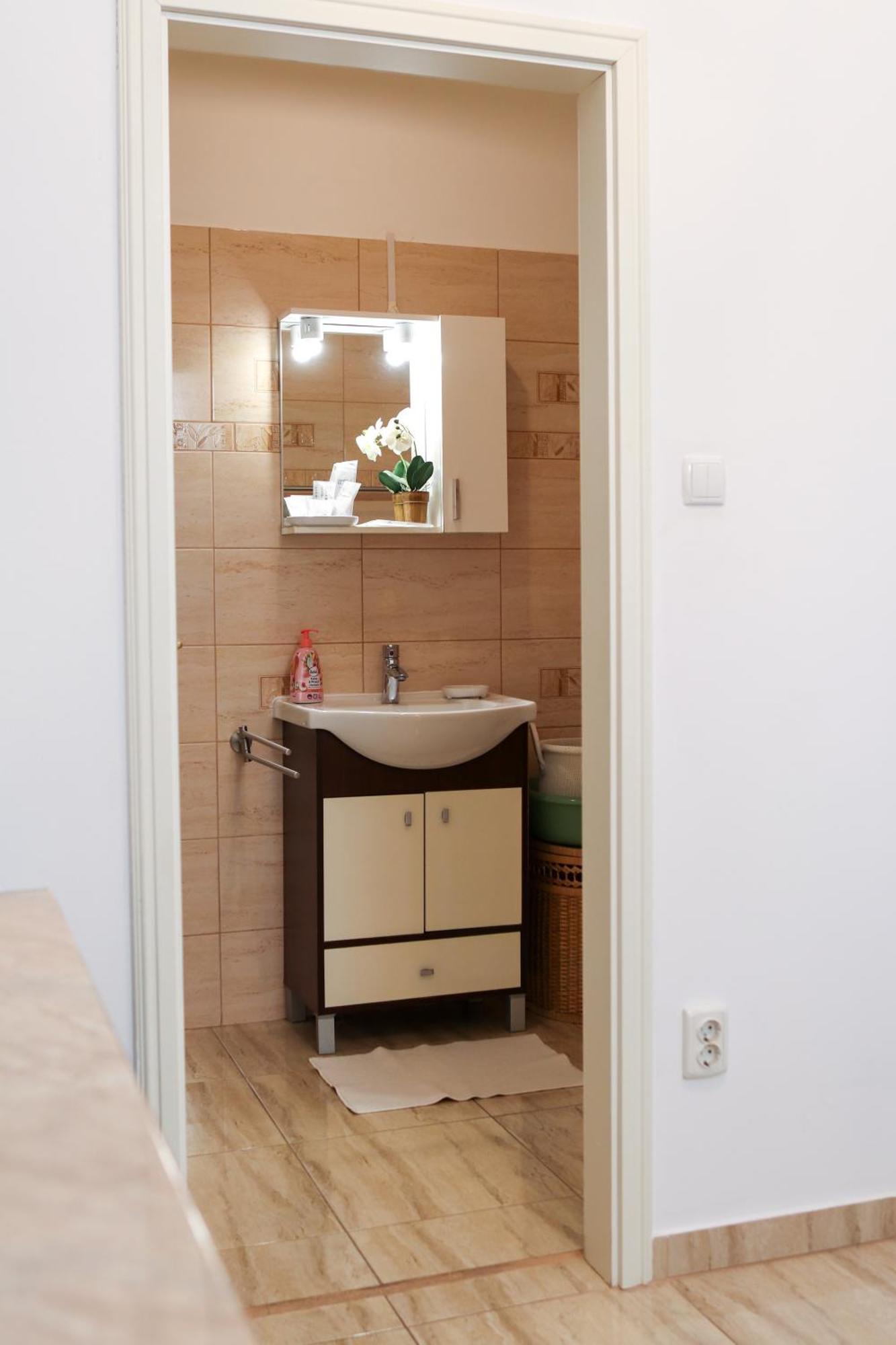 Neuhausz Residenz Ultra-Central Apartment Timisoara Bagian luar foto