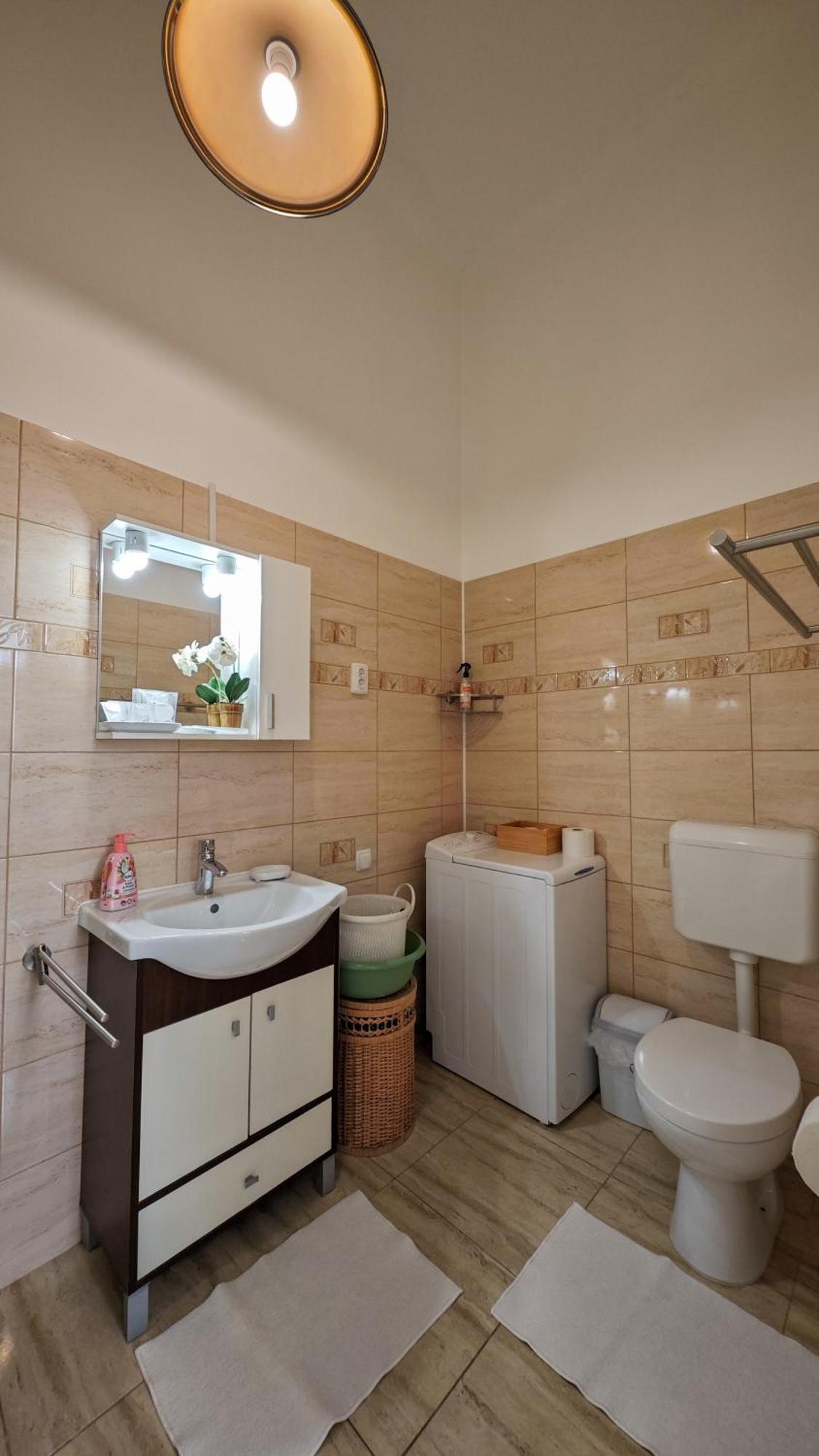 Neuhausz Residenz Ultra-Central Apartment Timisoara Bagian luar foto
