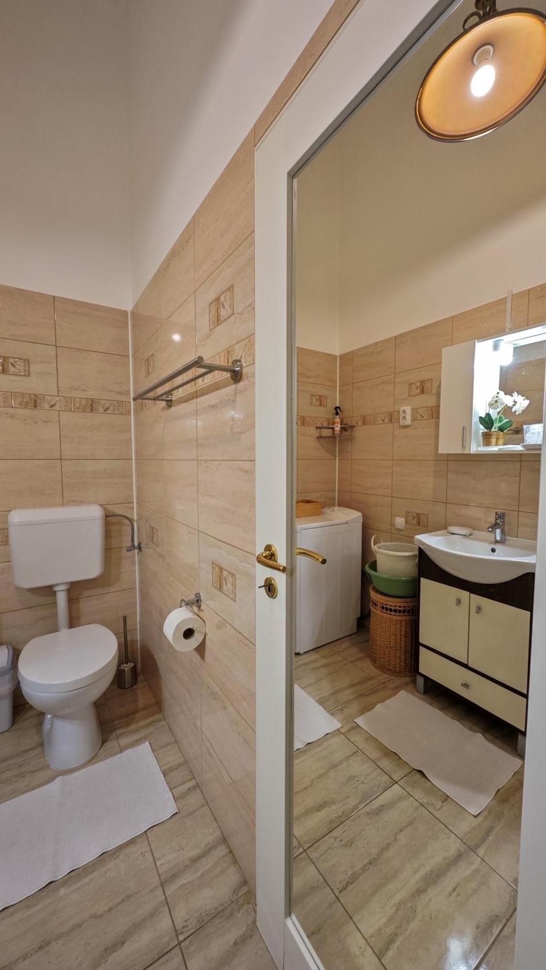 Neuhausz Residenz Ultra-Central Apartment Timisoara Bagian luar foto